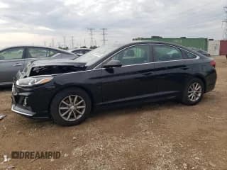 ✅ 2019 Hyundai Sonata SE • VIN: 5NPE24AF3KH771522 • Лот: 82050185. Опубликован ранее на Copart с пробегом 56 847 миль. Бесплатный доступ к архиву аукционных продаж из США и подробный отчёт об истории автомобиля на DreamBid. Изображение 1.