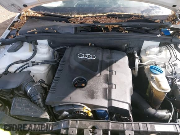 ✅ 2013 Audi A4 Premium Plus • VIN: WAUEFAFL9DN036822 • Lot: 43507994. Wystawiony na IAAI z przebiegiem 182 631 mil. Bezpłatny archiwum sprzedaży aukcyjnych z USA i szczegółowy raport historii pojazdu na DreamBid. Zdjęcie 10.