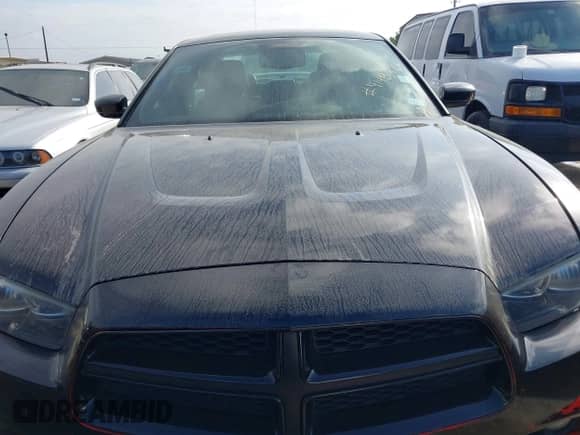 ✅ 2014 Dodge Charger RT • VIN: 2C3CDXCT7EH356453 • Lot: 41484769. Listed on IAAI with 130,225 mi. Free auction sales archive from the USA and detailed vehicle history report at DreamBid. Image 12.