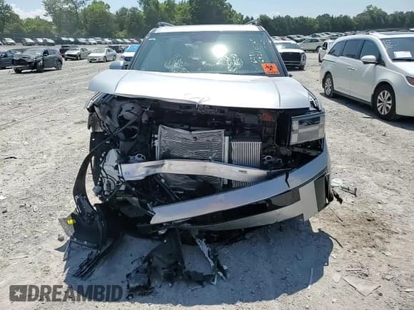 ✅ 2025 Hyundai Santa Fe Calligraphy • VIN: 5NMP54GLXSH126800 • Lot: 69210265. Listed on Copart with 2,694 mi. Free auction sales archive from the USA and detailed vehicle history report at DreamBid. Image 15.