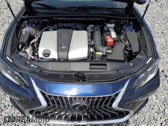 ✅ 2025 Lexus ES 350 Ultra Luxury • VIN: 58AFZ1B16SU197302 • Lot: 56118205. Listed on Copart with 739 mi. Free auction sales archive from the USA and detailed vehicle history report at DreamBid. Image 11.