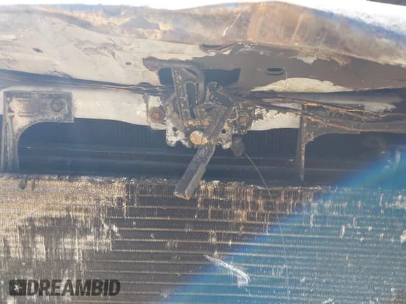 ✅ 2007 Ford F-250 XL • VIN: 1FTSW21P47EA06914 • Лот: 43214998. Опубликован ранее на IAAI с пробегом Не указан. Бесплатный доступ к архиву аукционных продаж из США и подробный отчёт об истории автомобиля на DreamBid. Изображение 10.