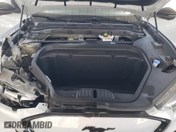 ✅ 2023 Ford Mustang Mach-E Premium • VIN: 3FMTK3SU2PMA84754 • Lot: 58766605. Listed on Copart with 16,023 mi. Free auction sales archive from the USA and detailed vehicle history report at DreamBid. Image 11.