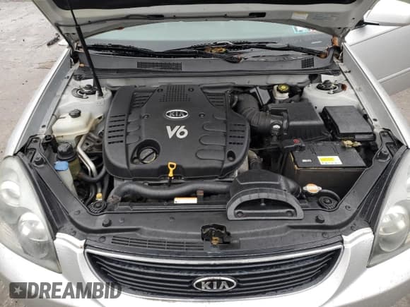 ✅ 2007 Kia Optima LX • VIN: KNAGE124775155435 • Lot: 82033664. Listed on Copart with 119,280 mi. Free auction sales archive from the USA and detailed vehicle history report at DreamBid. Image 11.