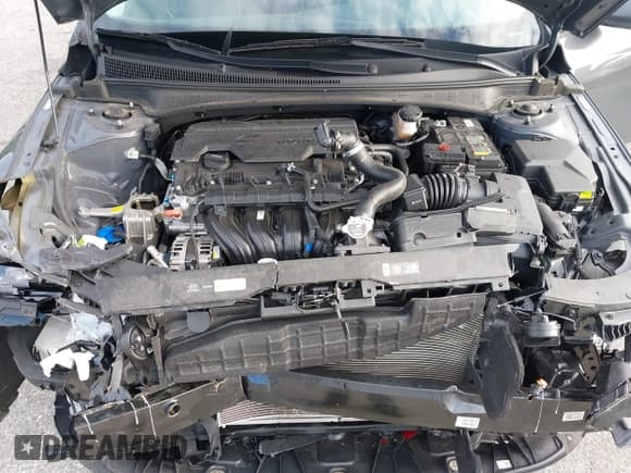 ✅ 2024 Hyundai Elantra SEL • VIN: KMHLM4DG8RU749226 • Lot: 43354612. Listed on IAAI with 25,309 mi. Free auction sales archive from the USA and detailed vehicle history report at DreamBid. Image 10.