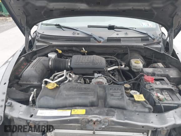 ✅ 2004 Dodge Dakota SLT • VIN: 1D7HG42N34S704613 • Lot: 43436598. Listed on IAAI with 124,371 mi. Free auction sales archive from the USA and detailed vehicle history report at DreamBid. Image 10.