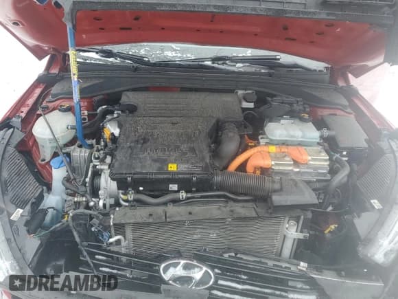 ✅ 2019 Hyundai Ioniq Blue • VIN: KMHC65LC0KU115705 • Lot: 45403735. Wystawiony na Copart z przebiegiem 49 061 mil. Bezpłatny archiwum sprzedaży aukcyjnych z USA i szczegółowy raport historii pojazdu na DreamBid. Zdjęcie 11.