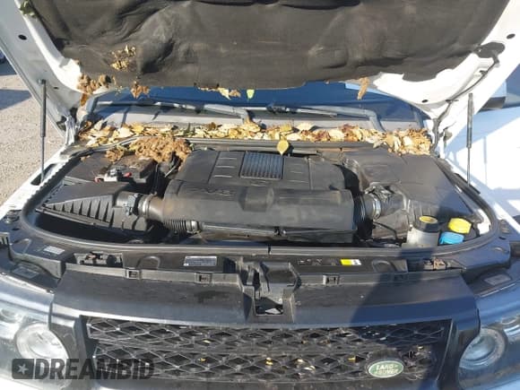 ✅ 2012 Land Rover Range Rover Sport HSE • VIN: SALSF2D41CA753687 • Лот: 43750271. Опубликован ранее на IAAI с пробегом 97 115 миль. Бесплатный доступ к архиву аукционных продаж из США и подробный отчёт об истории автомобиля на DreamBid. Изображение 10.