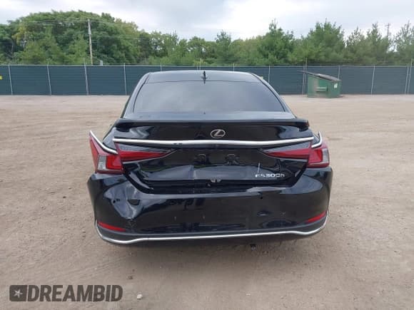 ✅ 2020 Lexus ES 300h Luxury • VIN: 58AE21B12LU009909 • Lot: 43165809. Listed on IAAI with 123,000 mi. Free auction sales archive from the USA and detailed vehicle history report at DreamBid. Image 16.