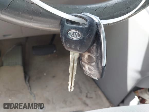 ✅ 2006 Kia Sedona LX • VIN: KNDMB233666023799 • Lot: 41371237. Wystawiony na IAAI z przebiegiem 225 052 mil. Bezpłatny archiwum sprzedaży aukcyjnych z USA i szczegółowy raport historii pojazdu na DreamBid. Zdjęcie 11.