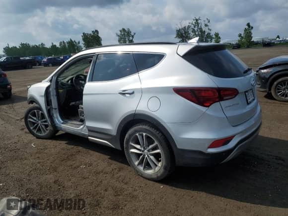 2017 Hyundai Santa Fe 2.0T with VIN 5XYZUDLA2HG463903, listed as a Copart auction lot 58937045 with Not provided miles and Salvage title. Bid and sale history available at DreamBid. Image 2.