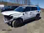 2025 Hyundai Santa Fe XRT with VIN 5NMP3DGL1SH088802, listed as a Copart auction lot 49805685 with 976 mi miles and Salvage title. Bid and sale history available at DreamBid. Image 1.