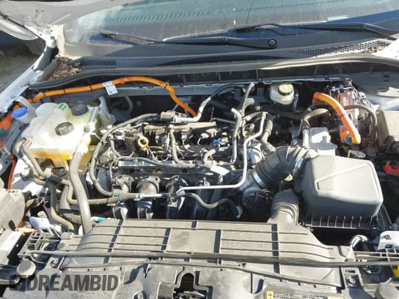 ✅ 2024 Ford Escape ST-Line Select • VIN: 1FMCU9NZ6RUB39581 • Lot: 43423638. Wystawiony na IAAI z przebiegiem 17 196 mil. Bezpłatny archiwum sprzedaży aukcyjnych z USA i szczegółowy raport historii pojazdu na DreamBid. Zdjęcie 10.