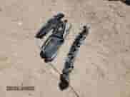 ✅ 2014 Dodge Charger RT • VIN: 2C3CDXCT1EH199549 • Lot: 80093615. Wystawiony na Copart z przebiegiem 180 767 mil. Bezpłatny archiwum sprzedaży aukcyjnych z USA i szczegółowy raport historii pojazdu na DreamBid. Zdjęcie 12.