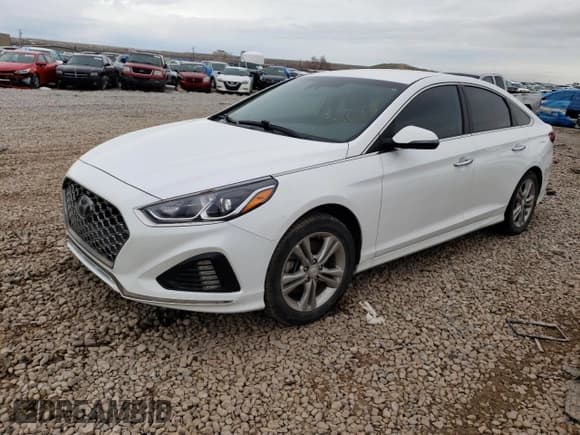 ✅ 2019 Hyundai Sonata SEL • VIN: 5NPE34AF7KH790068 • Lot: 44010503. Listed on Copart with 95,201 mi. Free auction sales archive from the USA and detailed vehicle history report at DreamBid. Image 1.
