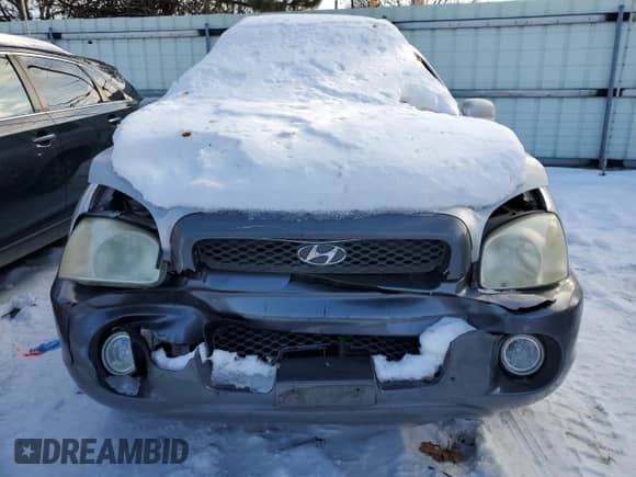 2003 Hyundai Santa Fe GLS with VIN KM8SC73D23U449633, listed as a Copart auction lot 88861775 with 181,299 mi miles and Salvage title. Bid and sale history available at DreamBid. Image 5.