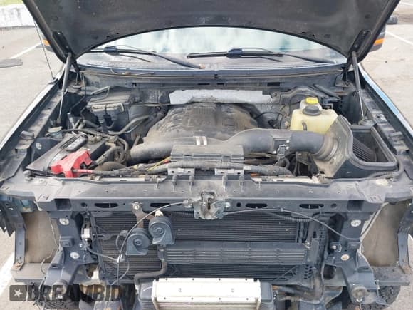 ✅ 2014 Ford F-150 Platinum • VIN: 1FTFW1ET5EFC89771 • Lot: 43499145. Wystawiony na IAAI z przebiegiem 174 908 mil. Bezpłatny archiwum sprzedaży aukcyjnych z USA i szczegółowy raport historii pojazdu na DreamBid. Zdjęcie 10.