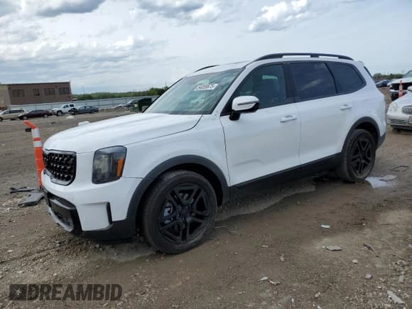 ✅ 2025 Kia Telluride SX X-Line • VIN: 5XYP5DGC0SG615829 • Lot: 54059675. Wystawiony na Copart z przebiegiem 5 337 mil. Bezpłatny archiwum sprzedaży aukcyjnych z USA i szczegółowy raport historii pojazdu na DreamBid. Zdjęcie 1.