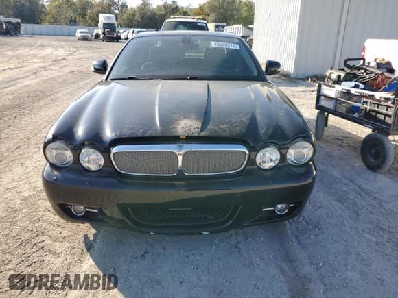✅ 2008 Jaguar XJ 8 LWB • VIN: SAJWA79B98SH29042 • Лот: 43599575. Опубликован ранее на Copart с пробегом Не указан. Бесплатный доступ к архиву аукционных продаж из США и подробный отчёт об истории автомобиля на DreamBid. Изображение 5.