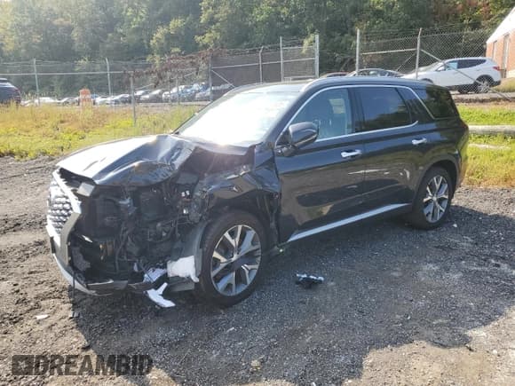 ✅ 2020 Hyundai Palisade SEL • VIN: KM8R3DHE2LU134779 • Лот: 81570805. Опубликован ранее на Copart с пробегом 52 336 миль. Бесплатный доступ к архиву аукционных продаж из США и подробный отчёт об истории автомобиля на DreamBid. Изображение 1.