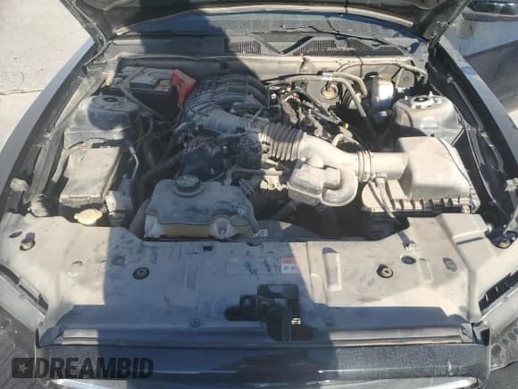 ✅ 2014 Ford Mustang V6 • VIN: 1ZVBP8AM1E5333061 • Лот: 56882415. Опубликован ранее на Copart с пробегом 101 910 миль. Бесплатный доступ к архиву аукционных продаж из США и подробный отчёт об истории автомобиля на DreamBid. Изображение 11.