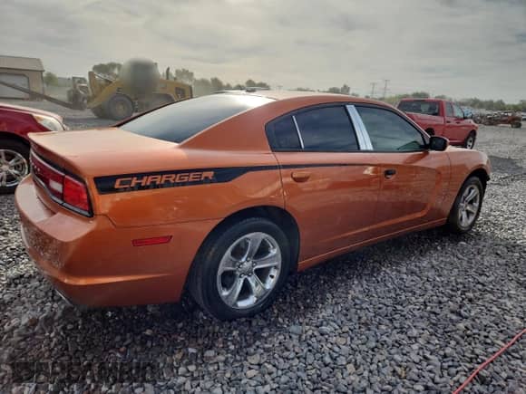 2011 Dodge Charger SE with VIN 2B3CL3CG0BH591445, listed as a Copart auction lot 84644175 with 218,463 mi miles and Salvage title. Bid and sale history available at DreamBid. Image 3.