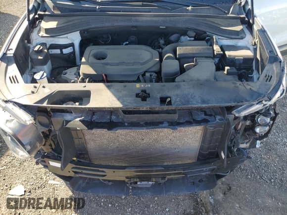 ✅ 2020 Hyundai Santa Fe Limited • VIN: 5NMS5CAD7LH233052 • Lot: 56385674. Wystawiony na Copart z przebiegiem 80 022 mil. Bezpłatny archiwum sprzedaży aukcyjnych z USA i szczegółowy raport historii pojazdu na DreamBid. Zdjęcie 12.