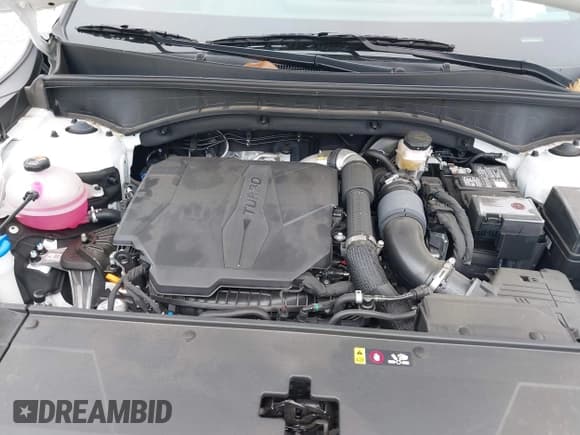 ✅ 2024 Kia Sorento X-Line SX • VIN: 5XYRKDJF4RG268293 • Лот: 42612476. Опубликован ранее на IAAI с пробегом 6 662 миль. Бесплатный доступ к архиву аукционных продаж из США и подробный отчёт об истории автомобиля на DreamBid. Изображение 10.