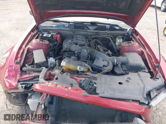 ✅ 2014 Ford Mustang V6 • VIN: 1ZVBP8AM5E5211979 • Лот: 43019247. Опубликован ранее на IAAI с пробегом 239 586 миль. Бесплатный доступ к архиву аукционных продаж из США и подробный отчёт об истории автомобиля на DreamBid. Изображение 10.