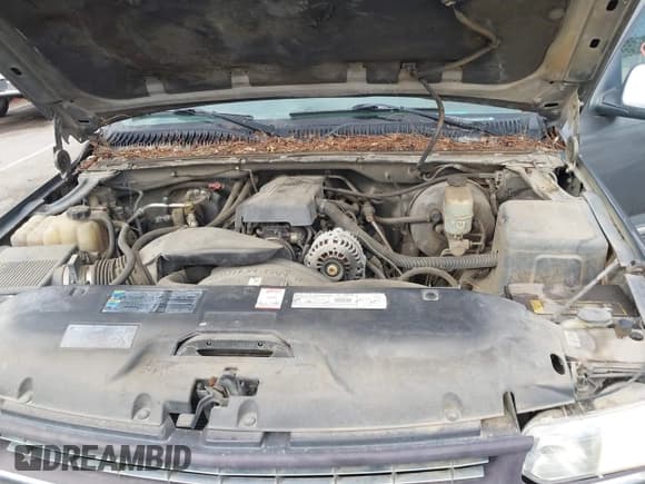 ✅ 2000 Chevrolet Silverado 1500 LS • VIN: 2GCEC19T5Y1122725 • Лот: 43815165. Опубликован ранее на IAAI с пробегом 352 070 миль. Бесплатный доступ к архиву аукционных продаж из США и подробный отчёт об истории автомобиля на DreamBid. Изображение 10.