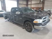 ✅ 2010 Dodge 1500 ST • VIN: 1D7RV1GP5AS219355 • Lot: 42849108. Wystawiony na IAAI z przebiegiem 235 215 mil. Bezpłatny archiwum sprzedaży aukcyjnych z USA i szczegółowy raport historii pojazdu na DreamBid. Zdjęcie 1.