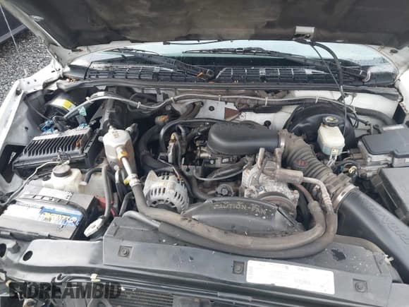 ✅ 1999 Chevrolet S-10 LS • VIN: 1GCCS14X4XK209003 • Lot: 41444567. Listed on IAAI with 202,156 mi. Free auction sales archive from the USA and detailed vehicle history report at DreamBid. Image 10.