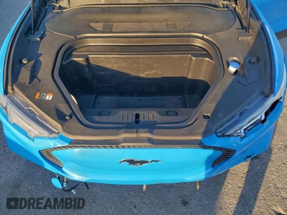 ✅ 2022 Ford Mustang Mach-E Select • VIN: 3FMTK1RM3NMA14106 • Lot: 90996375. Wystawiony na Copart z przebiegiem 128 342 mil. Bezpłatny archiwum sprzedaży aukcyjnych z USA i szczegółowy raport historii pojazdu na DreamBid. Zdjęcie 12.