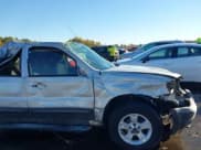 ✅ 2007 Ford Escape XLT • VIN: 1FMYU03107KB91215 • Lot: 43611822. Listed on IAAI with 221,658 mi. Free auction sales archive from the USA and detailed vehicle history report at DreamBid. Image 13.