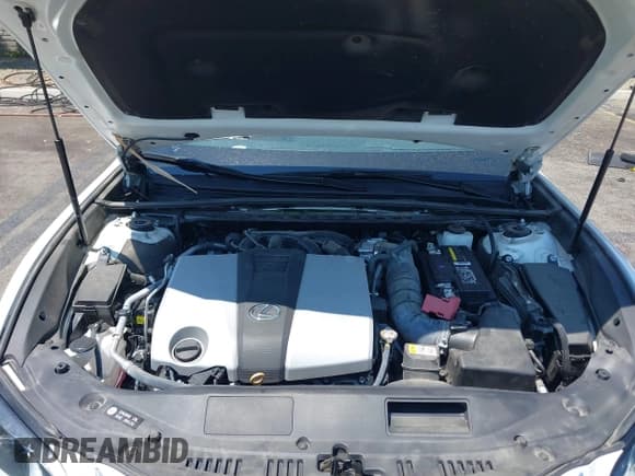 ✅ 2023 Lexus ES 350 • VIN: 58ADZ1B12PU154154 • Lot: 42930646. Listed on IAAI with 22,771 mi. Free auction sales archive from the USA and detailed vehicle history report at DreamBid. Image 10.