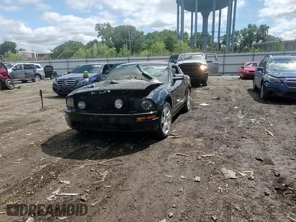 ✅ 2006 Ford Mustang GT Deluxe • VIN: 1ZVFT82H365105501 • Lot: 69504715. Listed on Copart with Not provided. Free auction sales archive from the USA and detailed vehicle history report at DreamBid. Image 13.