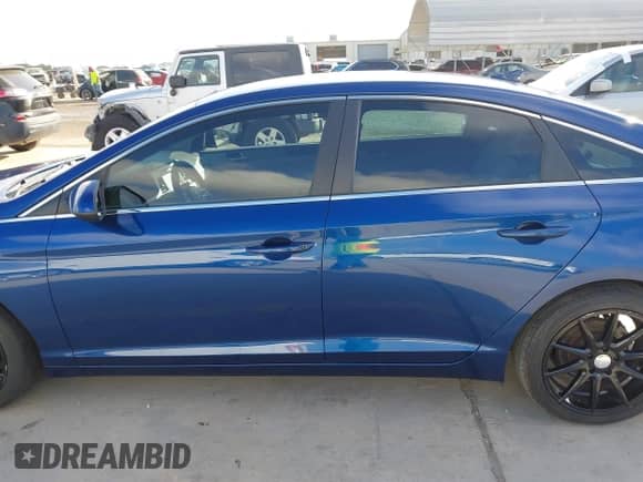 2016 Hyundai Sonata SE z VIN 5NPE24AF2GH347577, wystawiony jako IAAI lot #42994626 z przebiegiem 142 422 mil mil oraz . Historia ofert i sprzedaży dostępna na DreamBid. Obrazek 14.