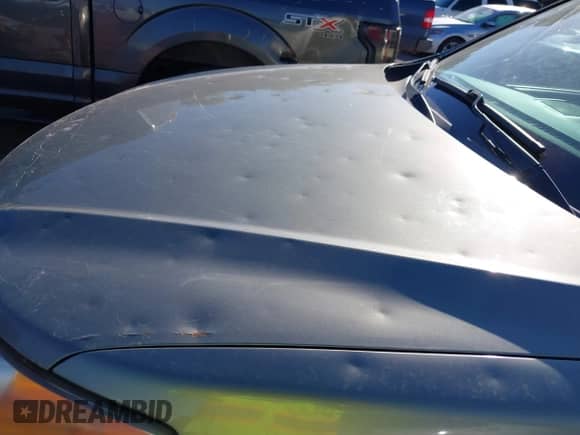 2009 Hyundai Santa Fe Limited with VIN 5NMSH13E09H257378, listed as a IAAI auction lot 43551457 with 232,674 mi miles and . Bid and sale history available at DreamBid. Image 6.