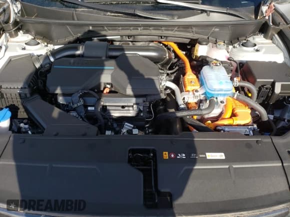 ✅ 2024 Hyundai Tucson Limited • VIN: KM8JFDD27RU201272 • Lot: 79690024. Wystawiony na Copart z przebiegiem 1 201 mil. Bezpłatny archiwum sprzedaży aukcyjnych z USA i szczegółowy raport historii pojazdu na DreamBid. Zdjęcie 11.