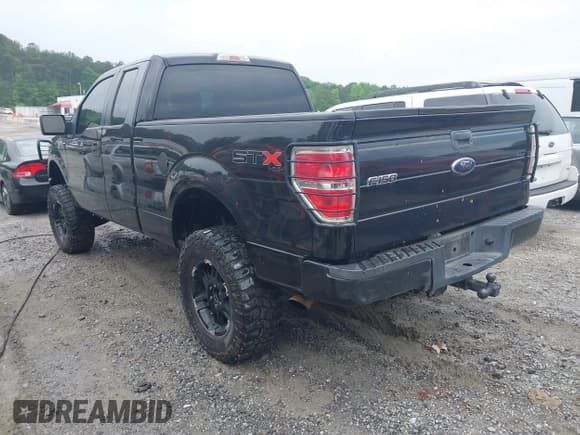 ✅ 2010 Ford F-150 XL • VIN: 1FTEX1EW7AFA75331 • Lot: 42226258. Listed on IAAI with 203,234 mi. Free auction sales archive from the USA and detailed vehicle history report at DreamBid. Image 3.