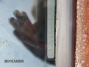 ✅ 1988 Jaguar XJ • VIN: SAJNV5841JC145870 • Лот: 76612974. Опубликован ранее на Copart с пробегом 30 582 миль. Бесплатный доступ к архиву аукционных продаж из США и подробный отчёт об истории автомобиля на DreamBid. Изображение 13.