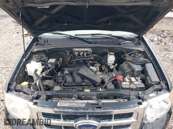 ✅ 2008 Ford Escape Limited • VIN: 1FMCU041X8KD75927 • Lot: 42489859. Listed on IAAI with 277,404 mi. Free auction sales archive from the USA and detailed vehicle history report at DreamBid. Image 10.