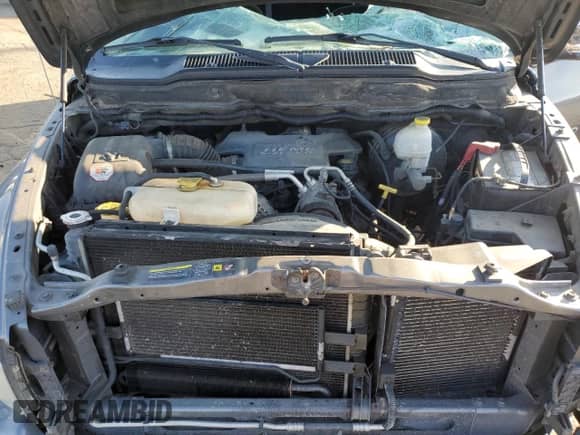 2004 Dodge 1500 SLT с VIN 1D7HU18D04J177268, выставлен на аукционе Copart как лот 80780575 с пробегом 217 586 миль миль и Списание • Salvage title. История ставок и продаж доступна на DreamBid. Изображение 11.