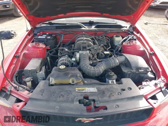 ✅ 2007 Ford Mustang Deluxe • VIN: 1ZVFT84N475327923 • Lot: 43441133. Listed on IAAI with 86,635 mi. Free auction sales archive from the USA and detailed vehicle history report at DreamBid. Image 10.