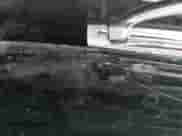 ✅ 1994 Chevrolet Corvette • VIN: 1G1YY32P0R5103497 • Lot: 43118727. Wystawiony na IAAI z przebiegiem 163 347 mil. Bezpłatny archiwum sprzedaży aukcyjnych z USA i szczegółowy raport historii pojazdu na DreamBid. Zdjęcie 19.