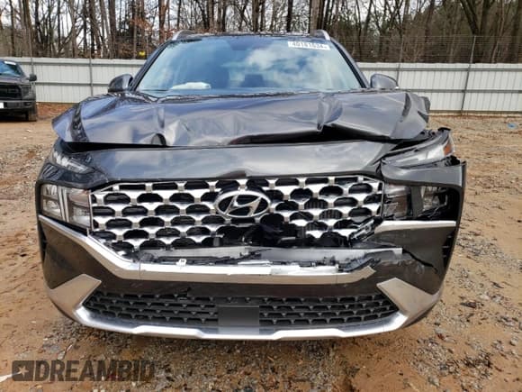 ✅ 2023 Hyundai Santa Fe Blue • VIN: 5NMS2DA16PH016182 • Lot: 40181634. Wystawiony na Copart z przebiegiem 1 316 mil. Bezpłatny archiwum sprzedaży aukcyjnych z USA i szczegółowy raport historii pojazdu na DreamBid. Zdjęcie 5.