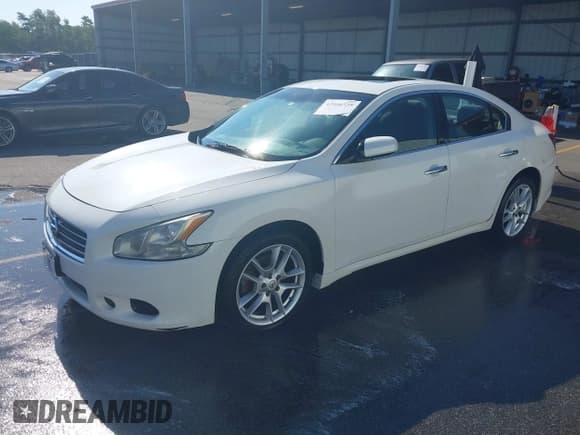 ✅ 2011 Nissan Maxima SV • VIN: 1N4AA5AP4BC854958 • Лот: 42466528. Опубликован ранее на IAAI с пробегом 229 955 миль. Бесплатный доступ к архиву аукционных продаж из США и подробный отчёт об истории автомобиля на DreamBid. Изображение 2.