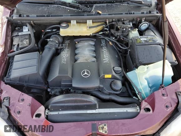 ✅ 1999 Mercedes-Benz M 320/430/500 • VIN: 4JGAB72E4XA088258 • Lot: 66375055. Listed on Copart with 60,613 mi. Free auction sales archive from the USA and detailed vehicle history report at DreamBid. Image 12.