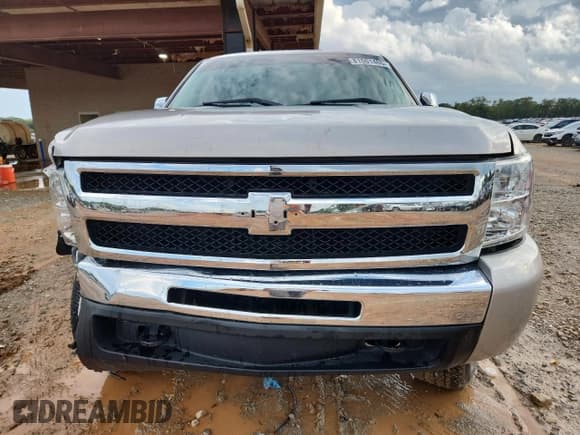 ✅ 2009 Chevrolet Silverado 1500 LT • VIN: 2GCEC29CX91101795 • Lot: 81501465. Wystawiony na Copart z przebiegiem 225 176 mil. Bezpłatny archiwum sprzedaży aukcyjnych z USA i szczegółowy raport historii pojazdu na DreamBid. Zdjęcie 5.
