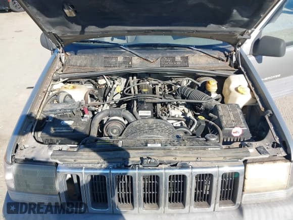 ✅ 1998 Jeep Grand Cherokee Laredo • VIN: 1J4FX58S9WC304258 • Lot: 43603048. Listed on IAAI with 232,555 mi. Free auction sales archive from the USA and detailed vehicle history report at DreamBid. Image 10.